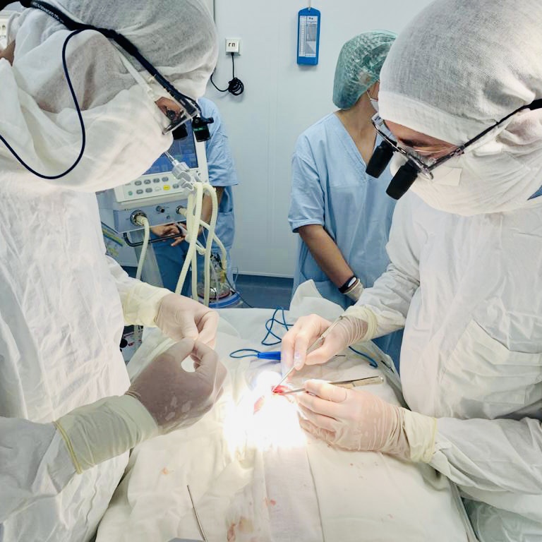 Проведены операции по коррекции врожденного порока сердца и сосудов двум недоношенным детям